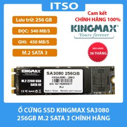Ổ cứng SSD Kingmax SA3080 256GB (M.2 Sata 3)
