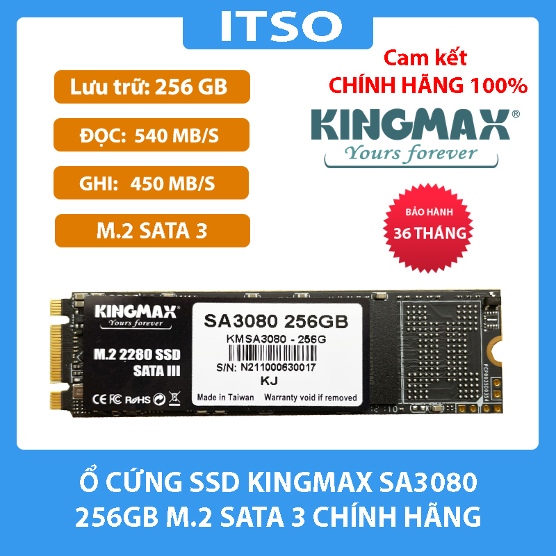 Ổ cứng SSD Kingmax SA3080 256GB (M.2 Sata 3) chính hãng