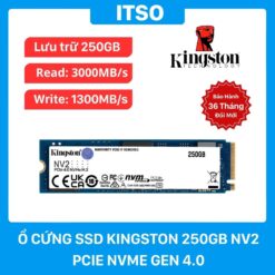Ổ cứng SSD Kingston 250GB NV2 NVMe PCIe 4.0 (SNV2S/250G) chính hãng