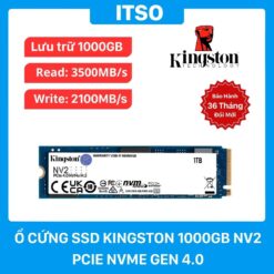 Ổ cứng SSD Kingston 1TB NV2 NVMe PCIe 4.0 (SNV2S/1000G) chính hãng