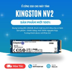 Ổ cứng SSD Kingston 250GB NV2 NVMe PCIe 4.0 (SNV2S/250G) chính hãng