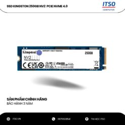 Ổ cứng SSD Kingston 250GB NV2 NVMe PCIe 4.0 (SNV2S/250G) chính hãng