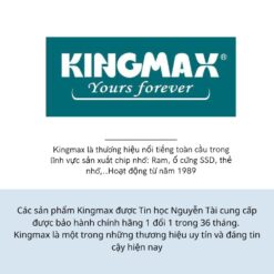 Ổ Cứng SSD Kingmax Zeus 512GB PQ3480 NVMe M.2 2280 PCIe Gen3X4