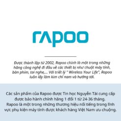Chuột Quang Rapoo N100 Chính Hãng - Bảo Hành 24 Tháng 3 Chuột Rapoo N100
