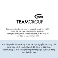Ram máy tính Team Elite 16GB DDR4 3200MHz chính hãng