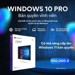 Bản quyền Windows 10 Pro (Liên kết với Mainboard)