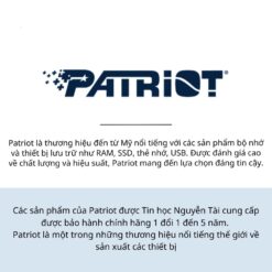 Thẻ nhớ 128GB Patriot V30 Class 10 cho camera chính hãng