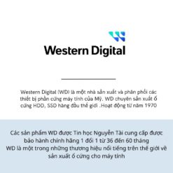 SSD 1TB WD Blue SN5000